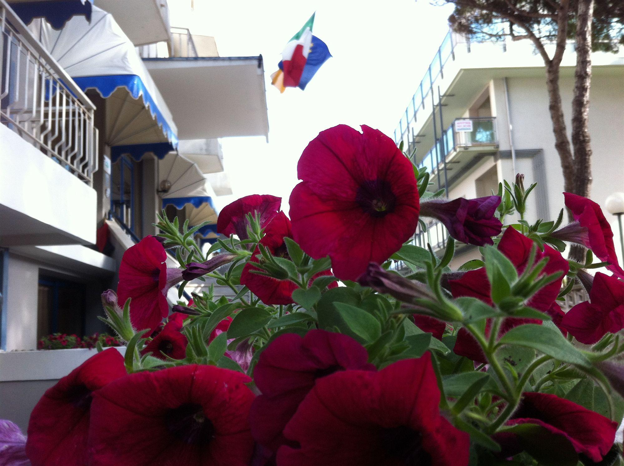 Hotel Umberto ลิโดดิเยโซโล ภายนอก รูปภาพ