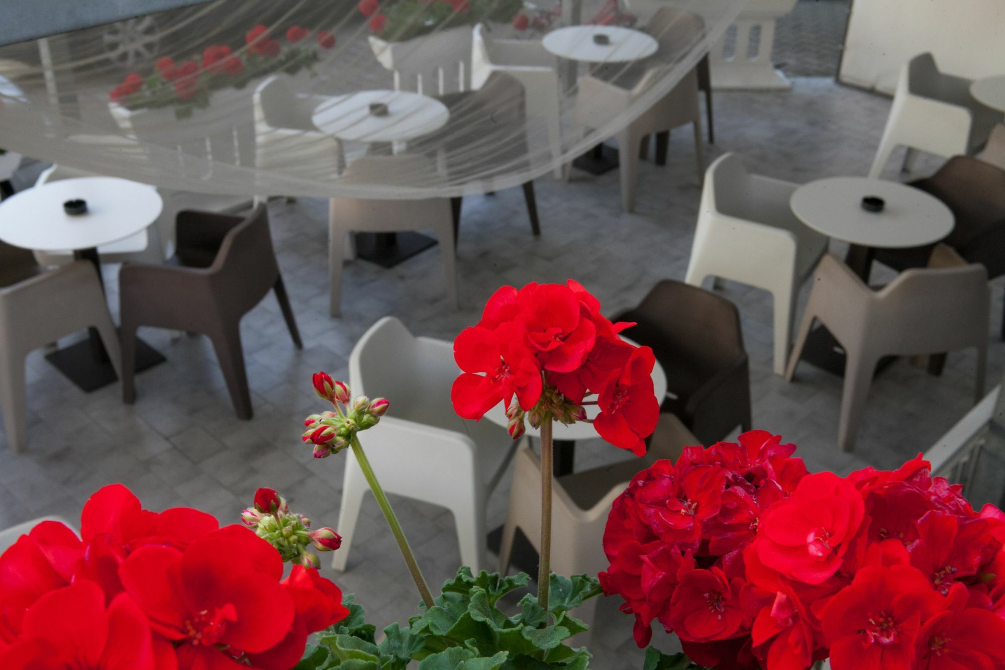 Hotel Umberto ลิโดดิเยโซโล ภายนอก รูปภาพ