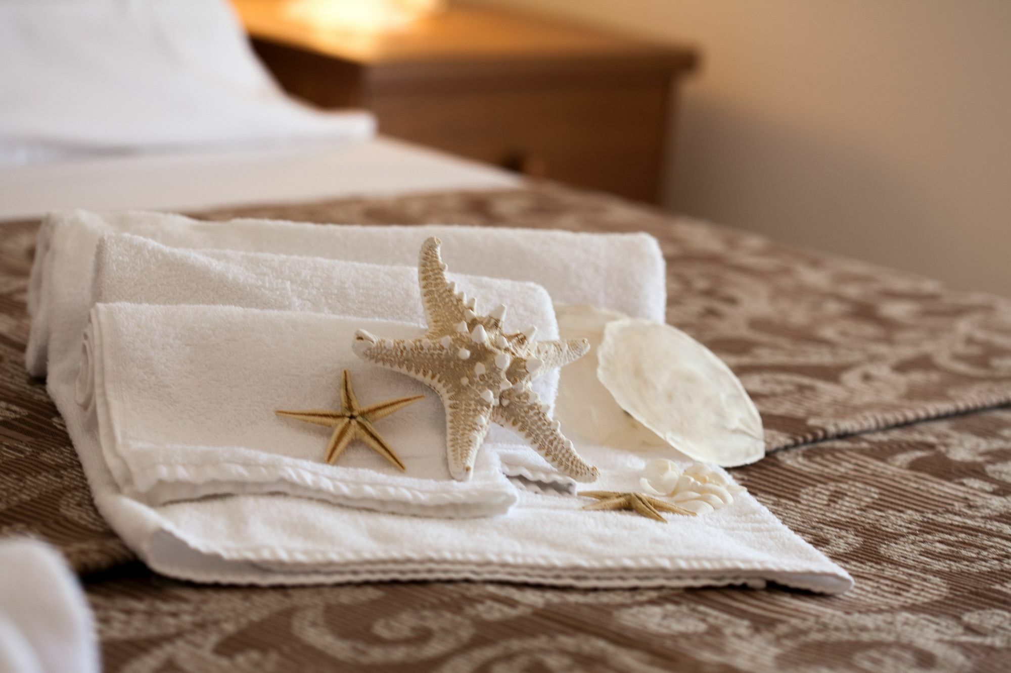 Hotel Umberto ลิโดดิเยโซโล ภายนอก รูปภาพ